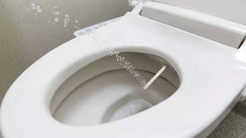 Japansk toalett